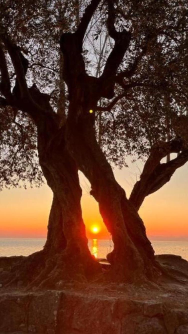 Appartamento Elena Garda  Bagian luar foto